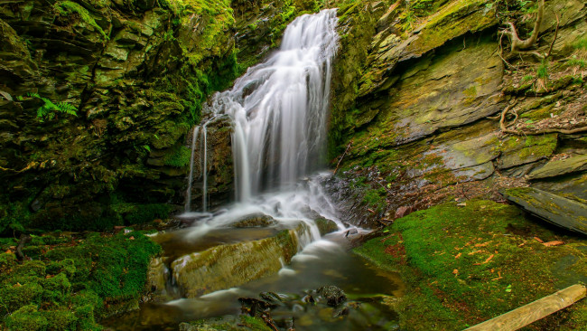 Обои картинки фото природа, водопады, лес, река, водопад