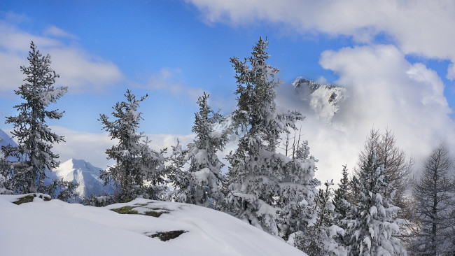 Обои картинки фото природа, зима, снег