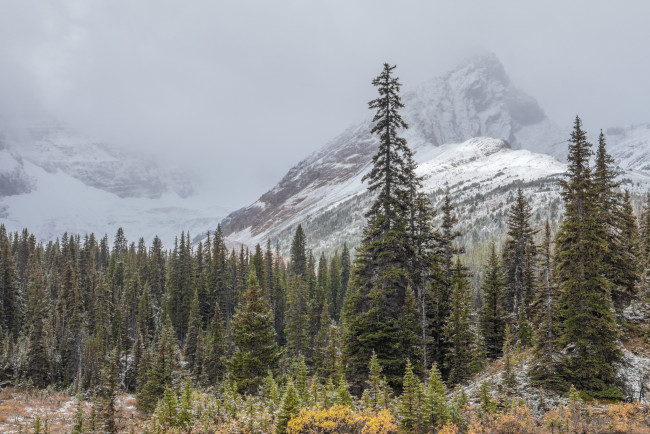 Обои картинки фото природа, горы, скалы