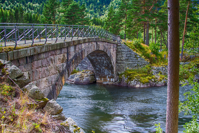 Обои картинки фото природа, реки, озера, лес, река