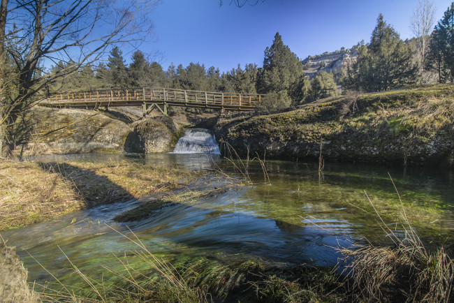 Обои картинки фото природа, реки, озера, река, лес