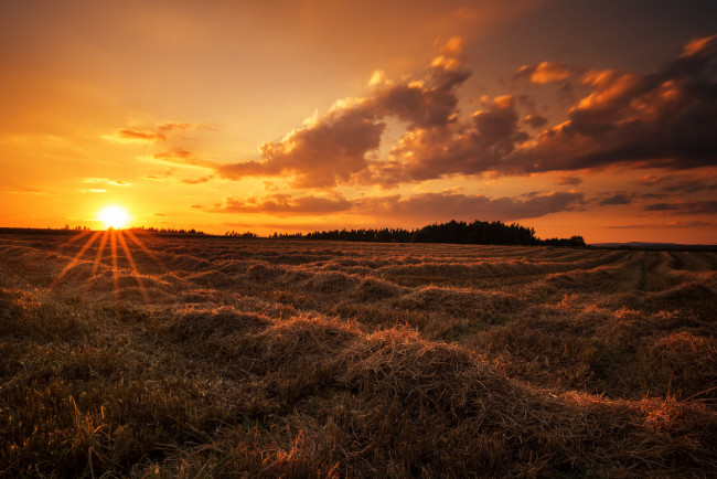 Обои картинки фото природа, восходы, закаты, рассвет