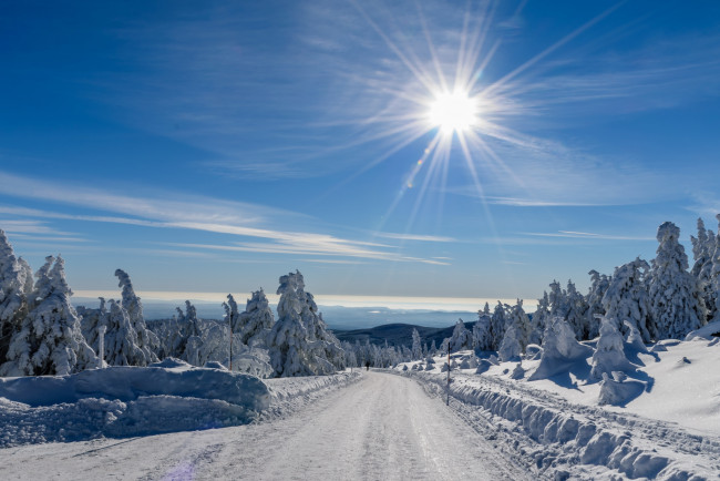 Обои картинки фото природа, зима, снег