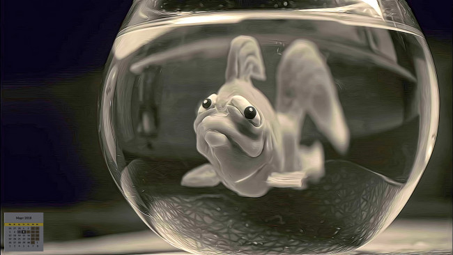 Обои картинки фото календари, кино,  мультфильмы, рыба, взгляд, аквариум, 2018