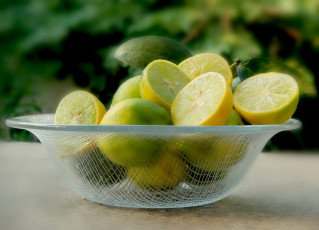 Картинка еда цитрусы снедь