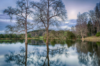 Картинка природа реки озера простор