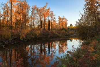 Картинка природа реки озера простор