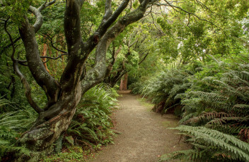 Картинка природа дороги простор