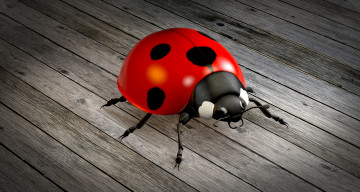 Картинка 3д+графика животные+ animals фон божья коровка