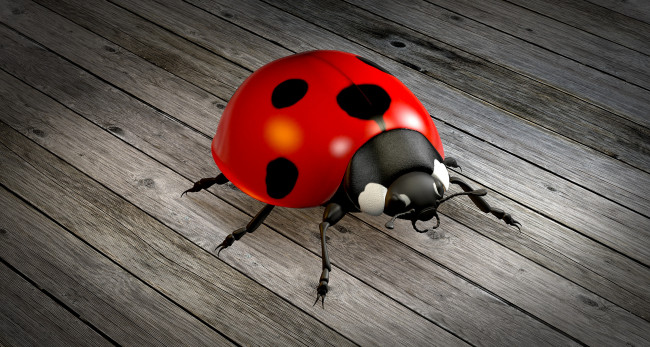 Обои картинки фото 3д графика, животные , animals, фон, божья, коровка