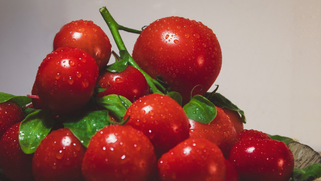 Обои картинки фото еда, помидоры, снедь