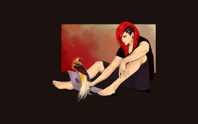 Обои картинки фото аниме, животные,  существа, ноутбук, птица, прическа, парень