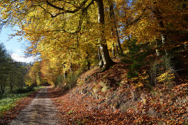 Обои картинки фото природа, дороги, простор