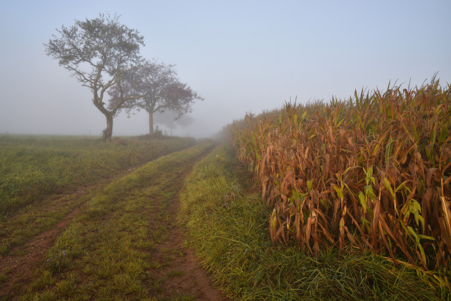 Обои картинки фото природа, дороги, простор