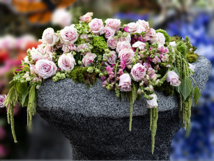 Картинка цветы розы композиция