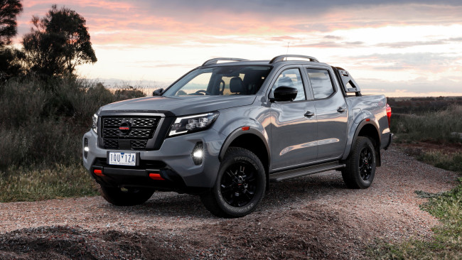 Обои картинки фото 2021 nissan navara pro-4x, автомобили, nissan, datsun, navara, pro-4x, 2021, ниссан, пикап, природа