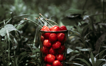 Картинка еда вишня +черешня черешня