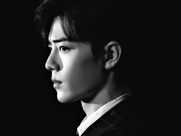 Обои картинки фото мужчины, xiao zhan, актер, лицо, профиль