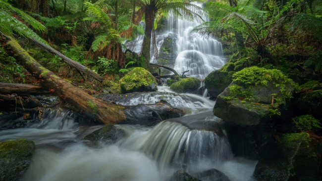 Обои картинки фото henderson falls, great otway np, victoria, australia, природа, водопады, henderson, falls, great, otway, np