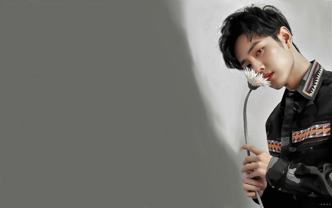 Обои картинки фото мужчины, xiao zhan, актер, рубашка, цветок