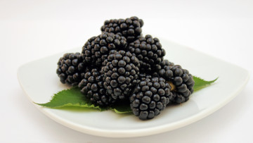 обоя еда, ежевика, макро, ягоды, белый, фон