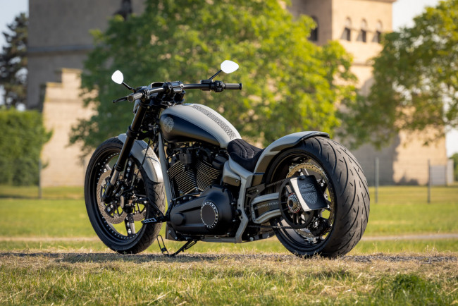 Обои картинки фото мотоциклы, harley-davidson, softail, breakout, 117, customized, viking, punch, tuning, bikes