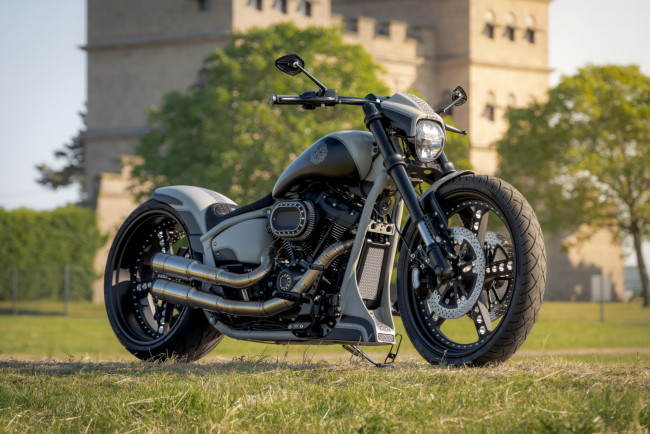 Обои картинки фото мотоциклы, harley-davidson, softail, breakout, 117, customized, viking, punch, tuning, bikes