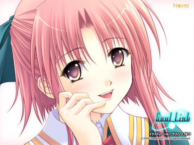 Обои картинки фото аниме, soul, link