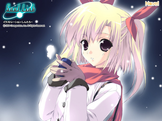 Обои картинки фото аниме, soul, link