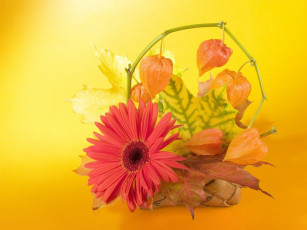 Картинка цветы букеты композиции