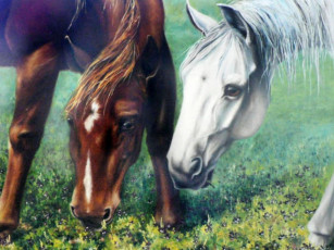 Картинка рисованные животные лошади