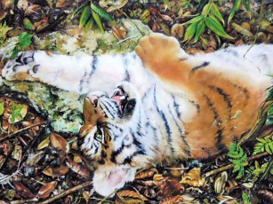 Картинка рисованные животные тигры