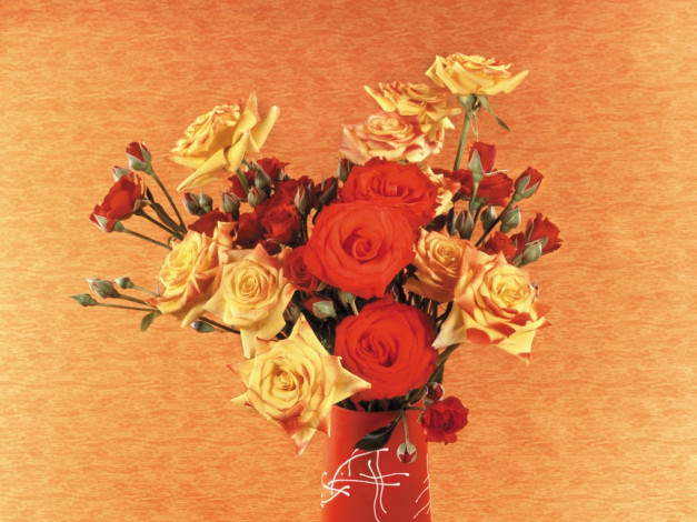 Обои картинки фото цветы, розы