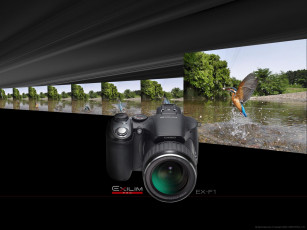 Картинка бренды exilim