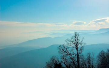 Картинка природа