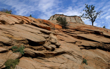 Картинка природа