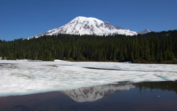 Картинка природа