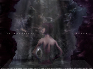 Картинка аниме ghost in the shell