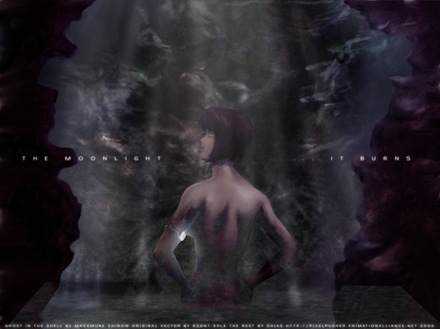 Обои картинки фото аниме, ghost, in, the, shell