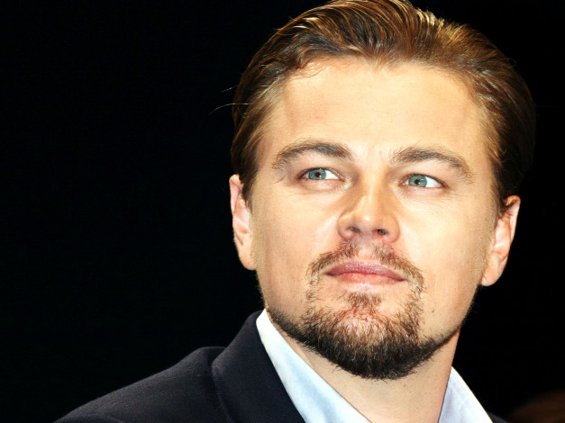 Обои картинки фото leonardo, dicaprio, мужчины