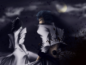 Картинка аниме bleach grimmjow jeagerjaques ulquiorra schiffer