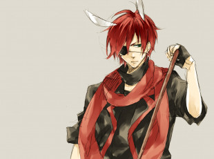 Картинка lavi аниме gray man d