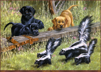 Картинка roger cruwys puppy le pu рисованные арт скунс щенок