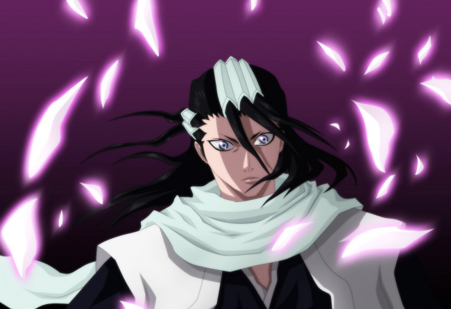 Обои картинки фото kuchiki, byakuya, аниме, bleach