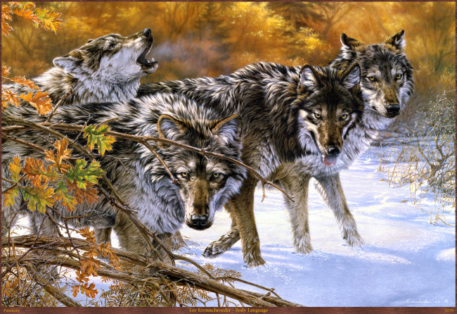 Обои картинки фото lee, kromschroeder, body, language, рисованные, арт, стая, волк