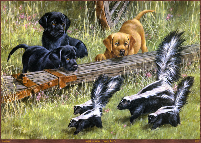 Обои картинки фото roger, cruwys, puppy, le, pu, рисованные, арт, скунс, щенок