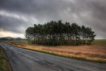 Картинка природа дороги поле роща дорога