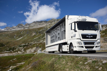 Картинка man автомобили германия двигатели грузовые se tgx автобусы