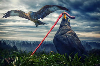 Картинка разное компьютерный+дизайн червяк ворон птицы