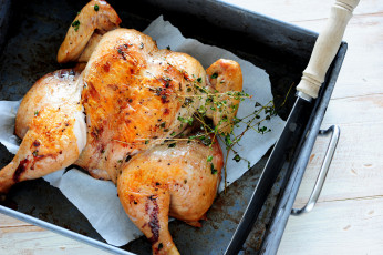 Картинка еда мясные+блюда запеченная курица приправа